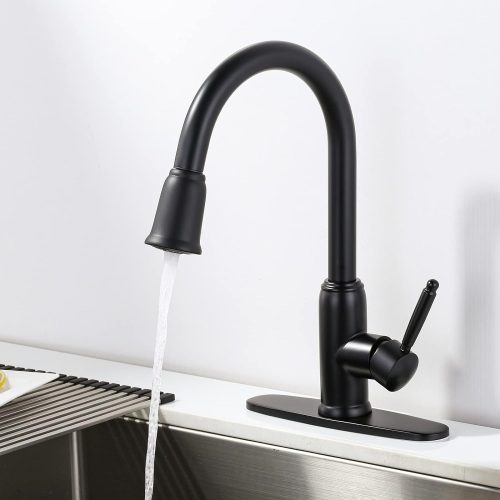 Black Bathroom Faucets with Spray