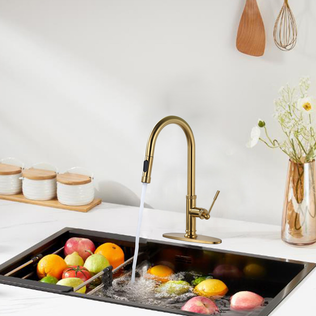 2341502G-0-2-0-1600×1600